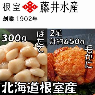 ふるさと納税 根室市 【北海道根室産】お刺身帆立貝柱300g、毛がに2尾(計約650g) B-42074 | 