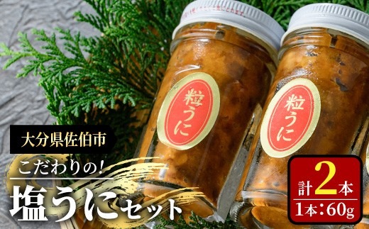 こだわりの塩うにセット(60g×2本)うに ウニ 雲丹 塩うに 冷凍 海の直売所 大分県 佐伯市【AS162】【海べ】