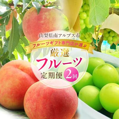 ふるさと納税 南アルプス市 【発送月固定定期便】フルーツギフト専門店が選ぶ南アルプスの厳選フルーツ定期便　全2品種全2回