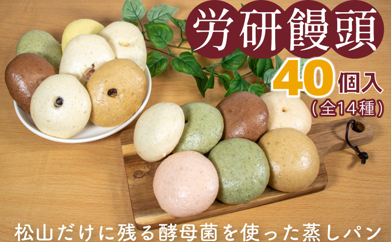 
労研饅頭（ろうけんまんとう） 40個 全14種類 パン 蒸しパン 菓子パン お取り寄せスイーツ おやつ 和スイーツ あんこ 製菓 冷凍食品 酵母 酵母菌 ギフト 愛媛県 松山市
