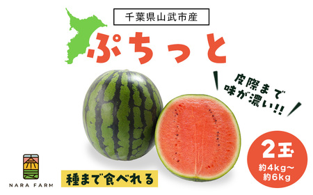 ぷちっと２玉入り　SMAF006