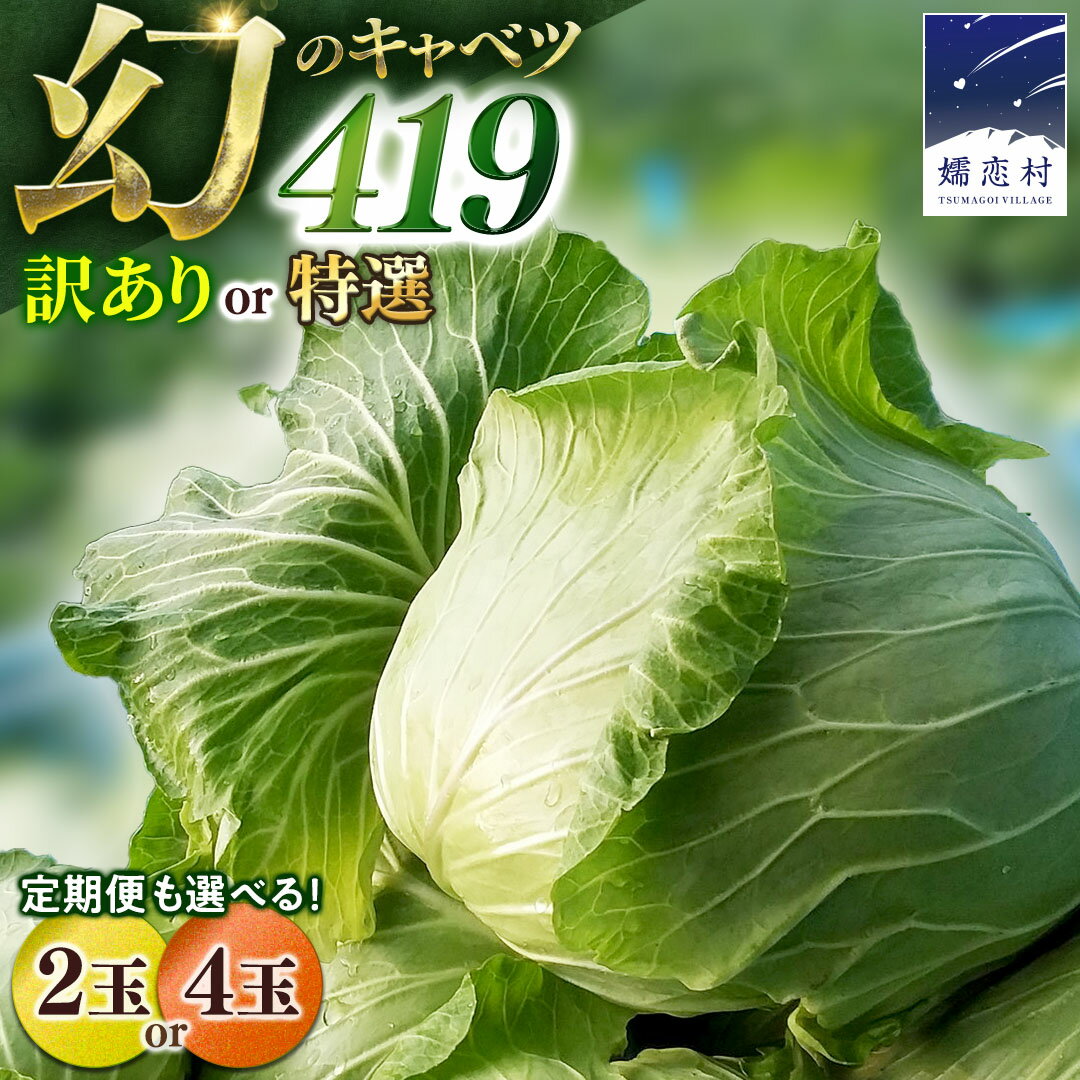 【ふるさと納税】＜7月中旬発送開始＞ まぼろしの419キャベツ 《 選べる 数量＆配送回数 》1回 3か月 定期便 2玉 4玉 きゃべつ 嬬恋キャベツ 嬬恋村産キャベツ 羽生田売店 幻のキャベツ419 産地直送 期間限定 人気 朝採り 通販 お取り寄せ 関東 群馬 先行予約 訳あり