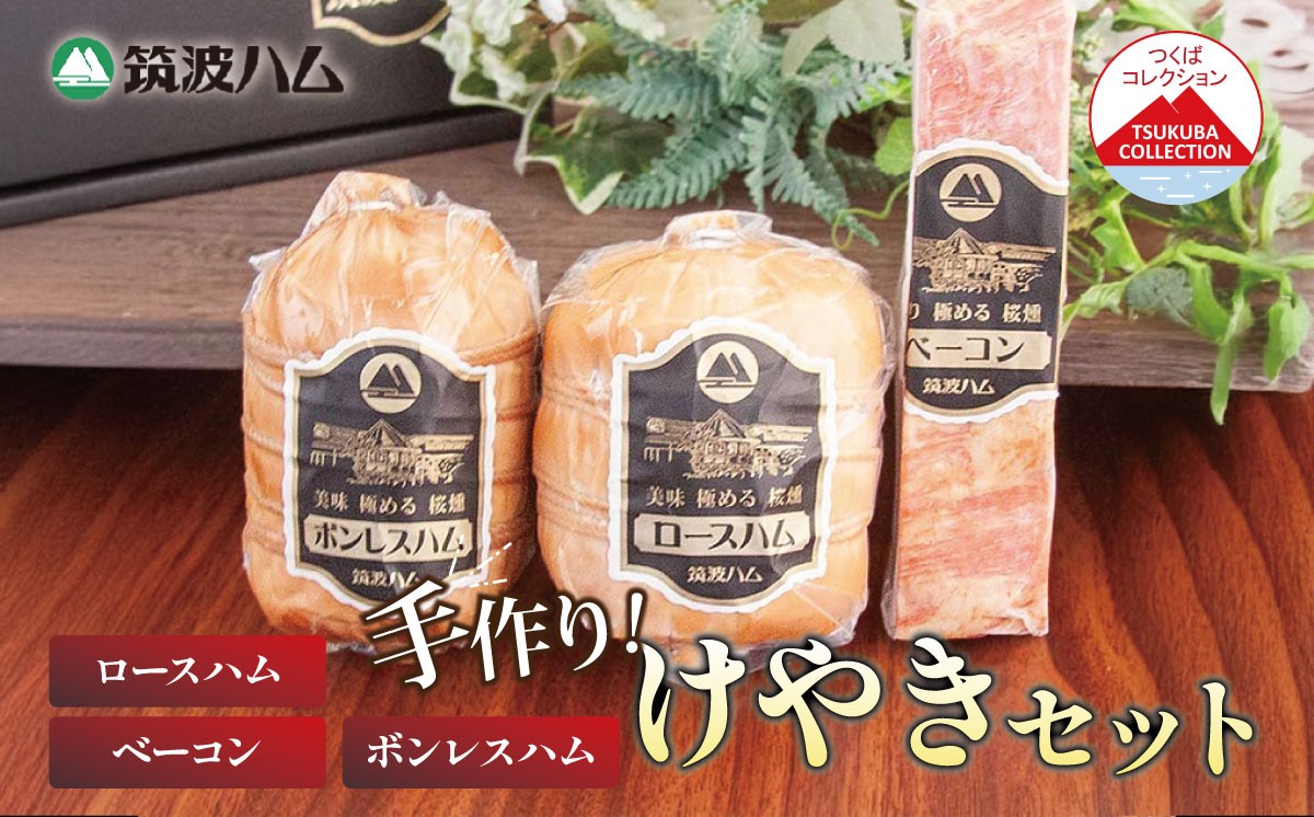 
                  ロースハム500g ボンレスハム400g ベーコン230g つくばコレクション けやきセット 筑波ハム │ 豚肉 豚 ぶた肉 ポーク ハム はむ ロースハム ベーコン ボンレスハム 詰め合わせ お中元 お歳暮 国産 茨城県 つくば市
                