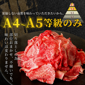 【最短発送】 飛騨牛 切り落とし 250g すき焼き 牛丼 炒め物 訳あり 肉のひぐち