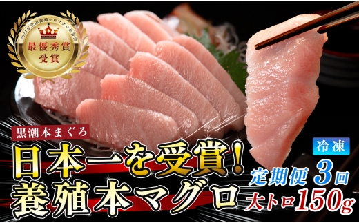 まぐろ マグロ 本鮪 黒潮本まぐろ 大トロ 定期便 3回 150g × 3回 刺身 さしみ 最優秀賞 全国養殖クロマグロ品評会 受賞 魚 魚介類 海鮮 柵 サク 冷凍 お取り寄せ 産地直送 ギフト 贈答  高知県 大月町