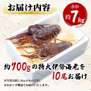 伊勢海老 特大 約7kg 約700g×10尾 伊勢えび 伊勢エビ いせえび イセエビ 海老 えび エビ 海鮮 海産物 海の幸 おせち 高級 国産 海鮮 ギフト 【配送日指定】