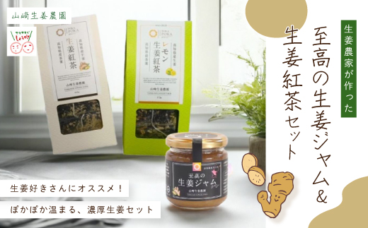 【 山﨑生姜農園 】 生姜農家 が作った 至高の 生姜ジャム ＆ 生姜紅茶 セット 生姜 しょうが ショウガ ジンジャー ジャム 濃厚 きび糖 加工品 ティーパック 茶葉 お茶 紅茶 おいしい ドリンク 飲料 高知県 高知 四万十市 四万十 しまんと