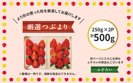 阿部梨園の完熟とちあいか（厳選つぶより）　※離島への配送不可　※2024年12月上旬～2025年5月中旬頃に順次発送予定