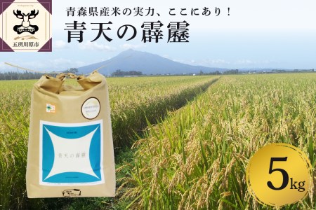 青天の霹靂　【 令和7年 新米 先行受付】米 5kg 特別栽培米 青森県産 【2025年11月より順次発送】【KonRiceFarmの青天の霹靂 お米 晴天の霹靂 青森県五所川原市 】