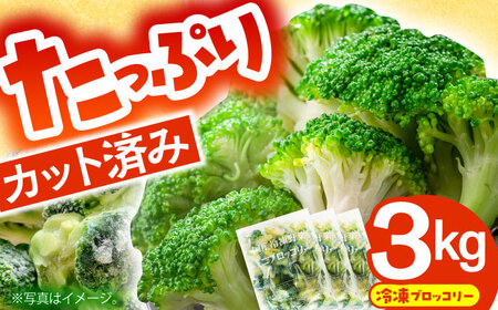 冷凍ブロッコリー 3kg 池田海陸物産 [SEW007] ブロッコリー
