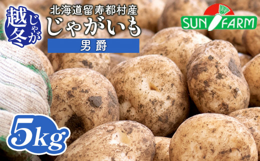 越冬じゃがいも 男爵 5kg いも おいも 芋 イモ ジャガイモ ポテト だんしゃく オンライン 申請 ふるさと納税 北海道 留寿都 野菜 根菜 産地直送 新鮮 採れたて ポテトサラダ コロッケ マッシュポテト 5キロ 留寿都村【24022】
