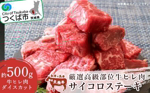 厳選高級部位牛ヒレ肉 サイコロステーキ 500g【 牛肉 牛 ステーキ 国産 茨城県 つくば市 】