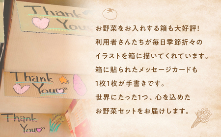 【定期便・年4回】旬のお野菜がどっさり！甲斐路の大満足お野菜セット