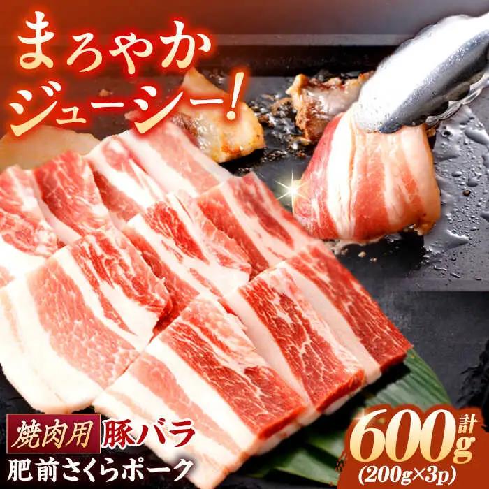 焼肉用 豚バラ肉 計600g NAC501 豚肉 焼肉
