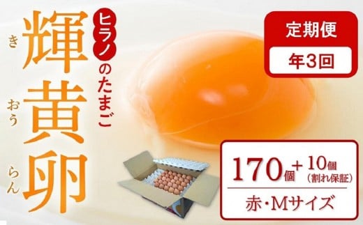 【定期便3回】ヒラノのたまご【輝黄卵(きおうらん)】赤Mサイズ　170個+10個（割れ保証）【卵 たまご タマゴ  国産 新鮮 直送 朝ごはん 卵かけごはん AJ007】