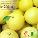 【ふるさと納税】【先行予約】爽やかに甘い！糸島産「はるか」 自家用約10kg【2025年3月以降順次発送】 【二丈赤米産直センター】[ABB004] 14000円 常温