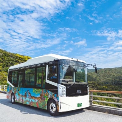 【一ヶ月前予約必須】やんばるの森ネイチャーガイドEVバスツアー 平日午前コース(ペア1組2名様分)