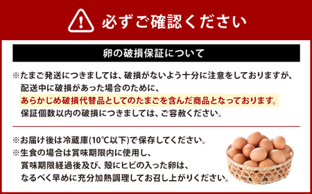 えびのの大自然で育ったこだわりタマゴ 康卵 108個 破損保証10個含む 赤 MSサイズ 卵 たまご 鶏卵 鶏 国産 九州産 送料無料