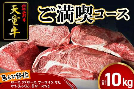 天童牛 ご満喫 コース 約 10kg 冷凍 ブランド牛 山形牛 牛肉 08-12-026