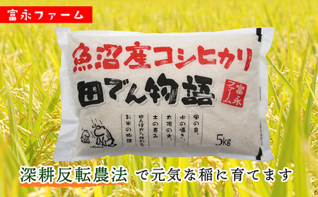 富永ファーム【お米定期便/全3回】魚沼産コシヒカリ（精米）5kg 白米 ご飯 ブランド米 銘柄米 精米したて 新潟県産 直送 主食 炭水化物 複数回 お届け 