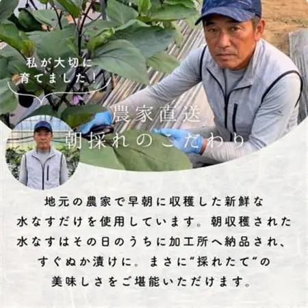 水なす 浅漬け 泉州特産 ぬか漬け 8個入り【配送不可地域：離島】【1638748】