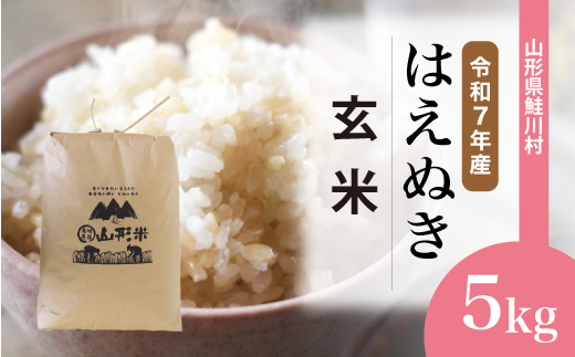 ＜令和7年産米＞ 令和7年12月上旬発送　はえぬき 【玄米】 5kg （5kg×1袋） 鮭川村