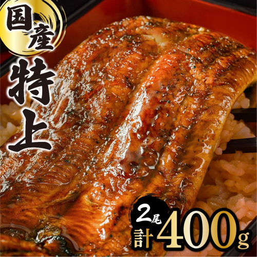 【7営業日以内発送】国産うなぎ蒲焼 2尾 計400g ※一部発送不可地域あり［B-1186-PE]