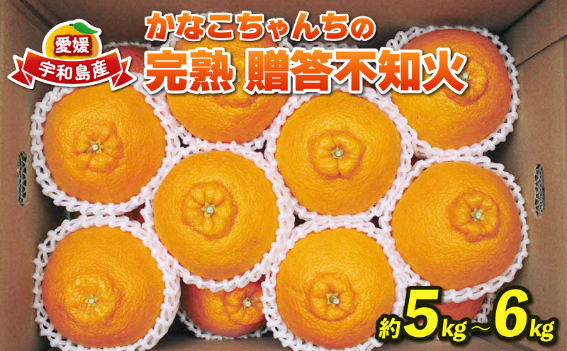 
不知火 完熟 5~6kg 愛媛みかん 贈答用 ふるくとファーム 先行予約 かなこちゃんち しらぬい 果物 くだもの フルーツ 柑橘 かんきつ みかん 蜜柑 mikan 愛媛ミカン 愛媛蜜柑 愛媛みかん 農家直送 産地直送 数量限定 国産 愛媛 宇和島 B015-037002
