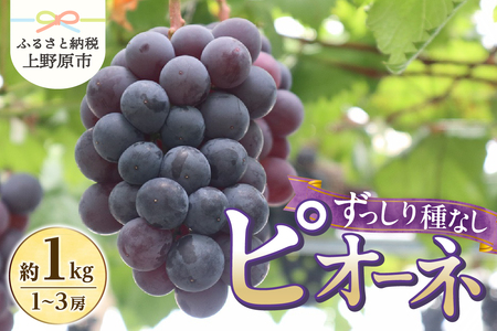 【山梨県産】ピオーネ 約1kg 種なしピオーネ ぶどう