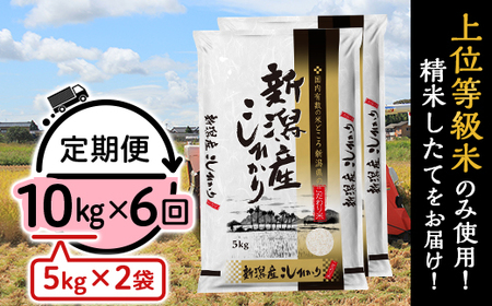 31-K106【6ヶ月連続お届け】新潟県産コシヒカリ10kg（5kg×2袋）