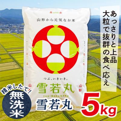 ふるさと納税 最上町 【令和7年産先行受付】山形県産雪若丸5kg(無洗米)