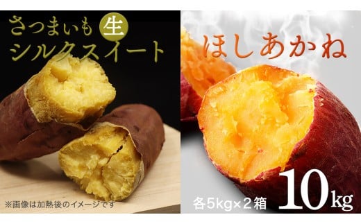 さつまいも 【 シルクスイート ・ ほしあかね 】 5kg ( 箱込 )の 2箱セット さつまいも 詰合せ 国産 農園 野菜 サツマイモ 芋 期間限定 デザート スイーツ おやつ 料理 味噌汁 煮物 生芋