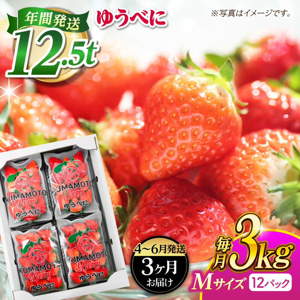 【ふるさと納税】《3月より発送開始》 【3回定期便】 いちご Mサイズ ゆうべに 3kg（12pc）【熊本ベリー】[ZER024]
