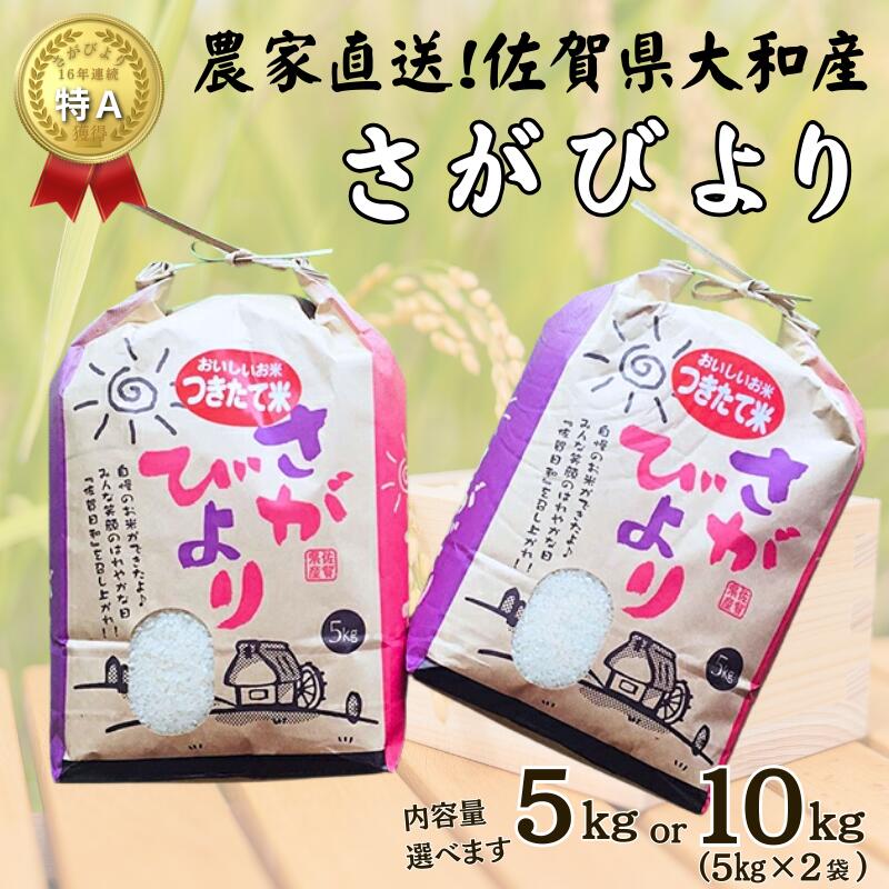 【ふるさと納税】佐賀県大和産「さがびより」選べる 5kg or 10kg（5kg×2袋） 米 農家直送 さがびより 白米：B320-017
