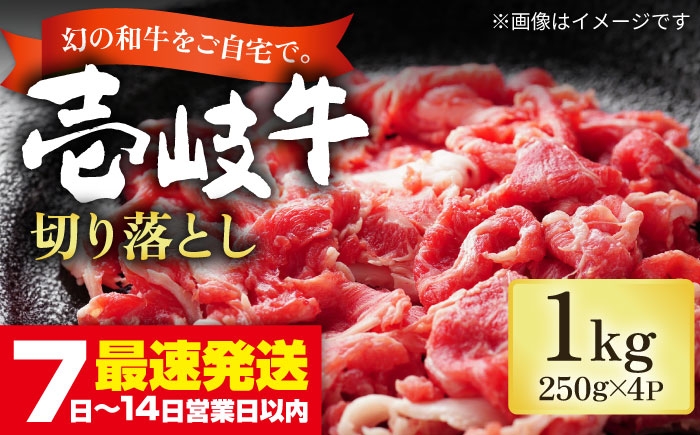 
            壱岐牛 切り落とし 250g×4パック《壱岐市》【長崎フードサービス】 1キロ 牛肉 牛 精肉 和牛 黒毛和牛 高級 スネ肉 スライス 焼肉 バーベキュー すき焼き 冷凍配送 19000 19000円 [JEP004]
          