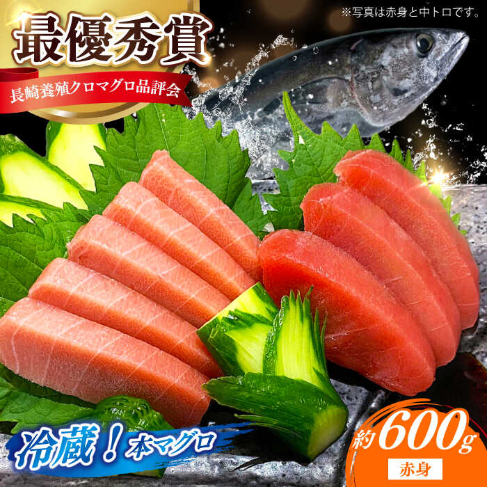 【ふるさと納税】【長崎県養殖クロマグロ品評会最優秀賞！】 五島列島産 養殖 生 本マグロ 赤身 計約600g マグロ まぐろ 鮪 刺身 ブロック 冷蔵 【上五島町漁業協同組合】[RBN015]