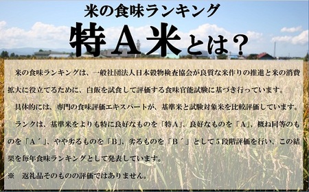 【新米受付】令和6年産 ななつぼし【玄米】(10㎏)【R6GN1】