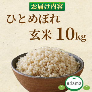【予約受付】玄米 ひとめぼれ 10kg  国産 edama 牧之原市