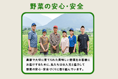 多数のメディアで紹介されました！【訳あり】旬のもったいないお野菜詰め合わせセット　Sサイズ Sサイズ