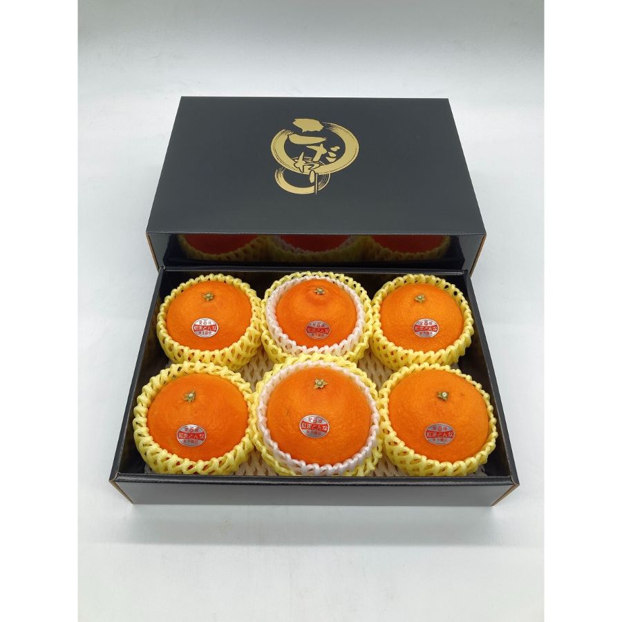 愛媛県産「紅まどんな」2L～3Lサイズ　5～6個