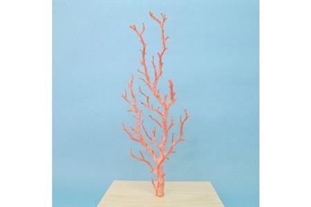 珊瑚職人館 珊瑚 原木・拝見・置物7