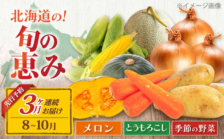 【全3回定期便】【8～10月限定】【数量限定】旬の恵み 3品目 《喜茂別町》【ニセコビュープラザ直売会協同組合】 野菜 野菜 野菜 野菜 野菜 野菜 野菜 [AJAH003] 38000 38000円