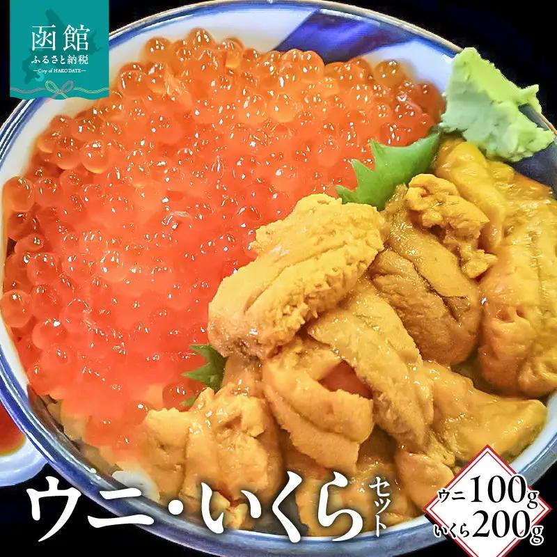 塩水ウニパック100g・いくら醤油漬200g 塩水うに うに いくら イクラ?油漬け 海鮮 おつまみ 北海道 函館市 ふるさと納税 お取り寄せ 送料無料_HD149-022