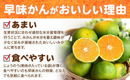 みかん 早味かん 約4kg  南国フルーツ株式会社《9月中旬-9月下旬頃出荷》福岡県 鞍手町 福岡県産 みかん 早味かん フルーツ 果物 st-p