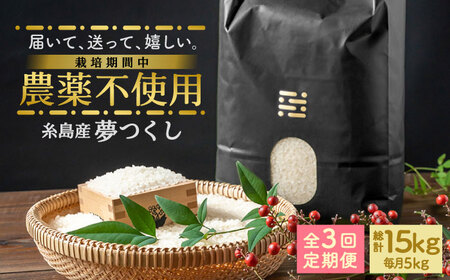 【全3回定期便】農薬を使わずに育てた 山つき 5kg 夢つくし 吉富町/(株)やました[BGBX014]