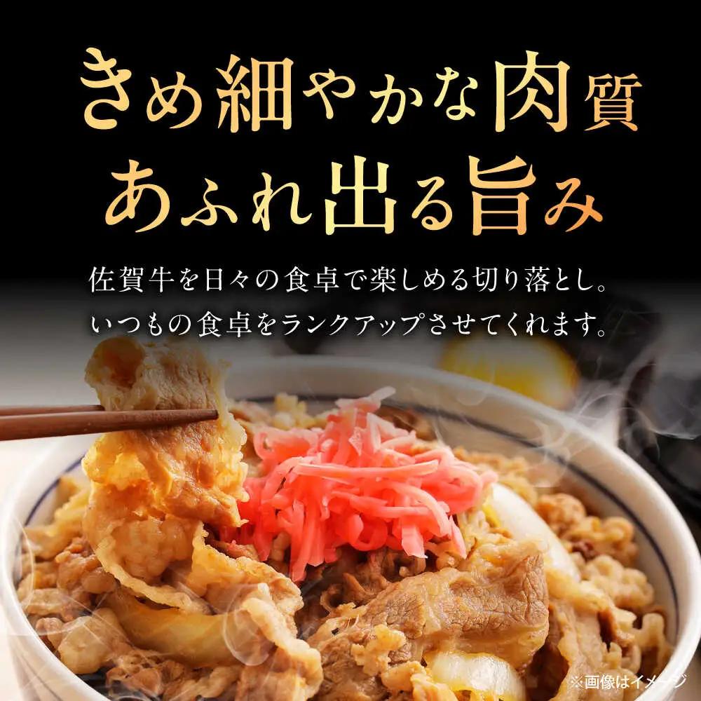 【6回定期便】 佐賀牛 切り落とし 600g 牛切落し [UEM032]