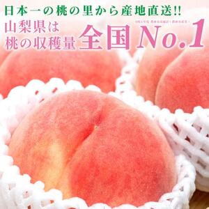 山梨県産 桃 白鳳 1kg以上(3～5玉)【配送不可地域：離島】【1137259】