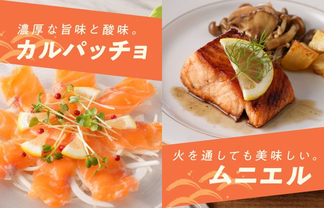 アトランティックサーモン ポーション 370g【小分け 2パック 訳あり サイズ不揃い 刺身 海鮮丼 サラダ 鮭 さけ シャケ しゃけ sake 人気 オススメ 冷凍】 010B1535