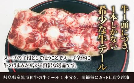 岐阜県産黒毛和牛テール 1本 | スープ 煮込み 牛テール  BP016