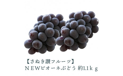 【ふるさと納税】 締め切り間近 ＮＥＷピオーネぶどう 約1.1ｋｇ さぬき讃フルーツ 甘さとジューシーさが詰まった最高級ピオーネ！ 大粒で食べごたえ抜群！ピオーネぶどう 風味豊かで甘い、完熟ピオーネ 新鮮さが自慢のさぬき讃フルーツのピオーネ  秋 旬